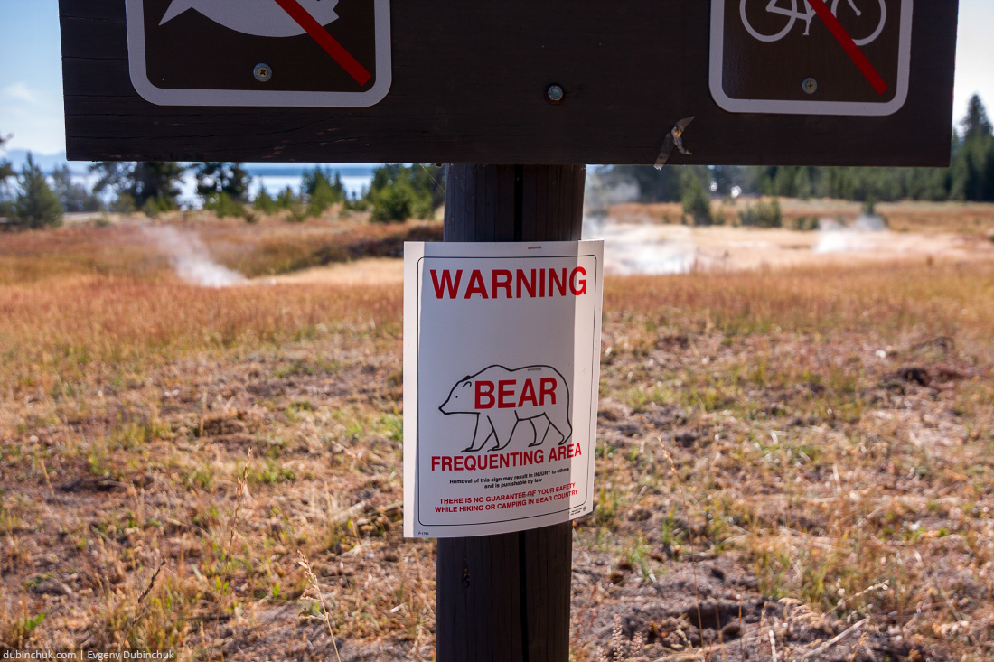 Осторожно! Медведи! Bear frequenting area. Yellowstone National Park.
