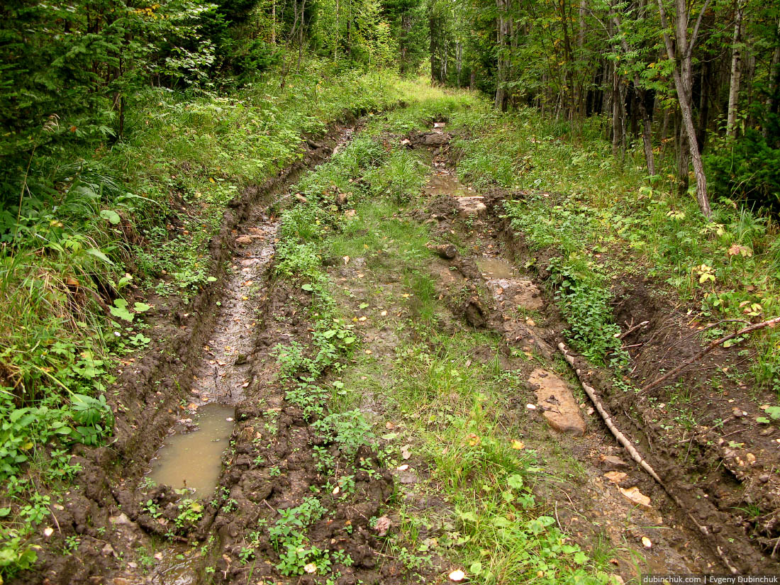 Убитая лесная дорога. Путешествие по Уралу на велосипеде в одиночку. Extremely poor forest road