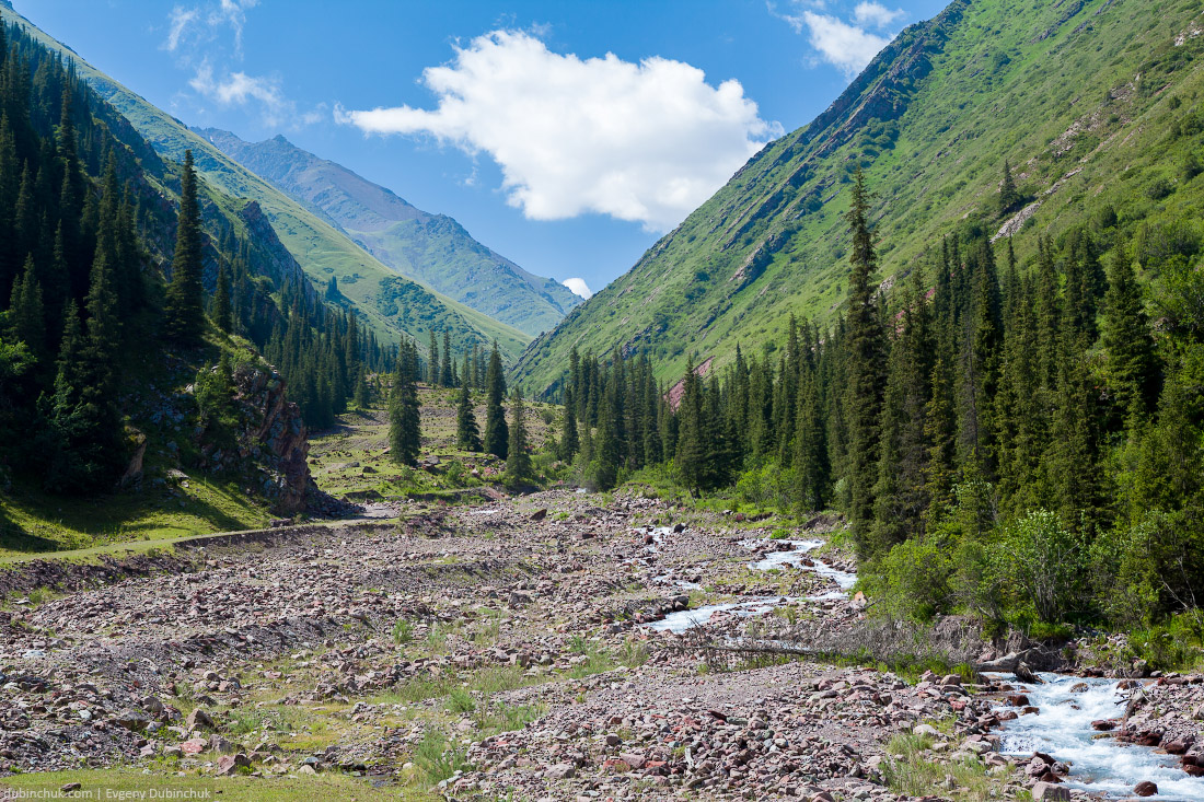 River in mountains of Kyrgyzstan