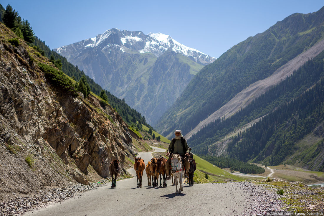 Пастух лошадей в Индийских Гималаях. Штат Джамму и Кашмир