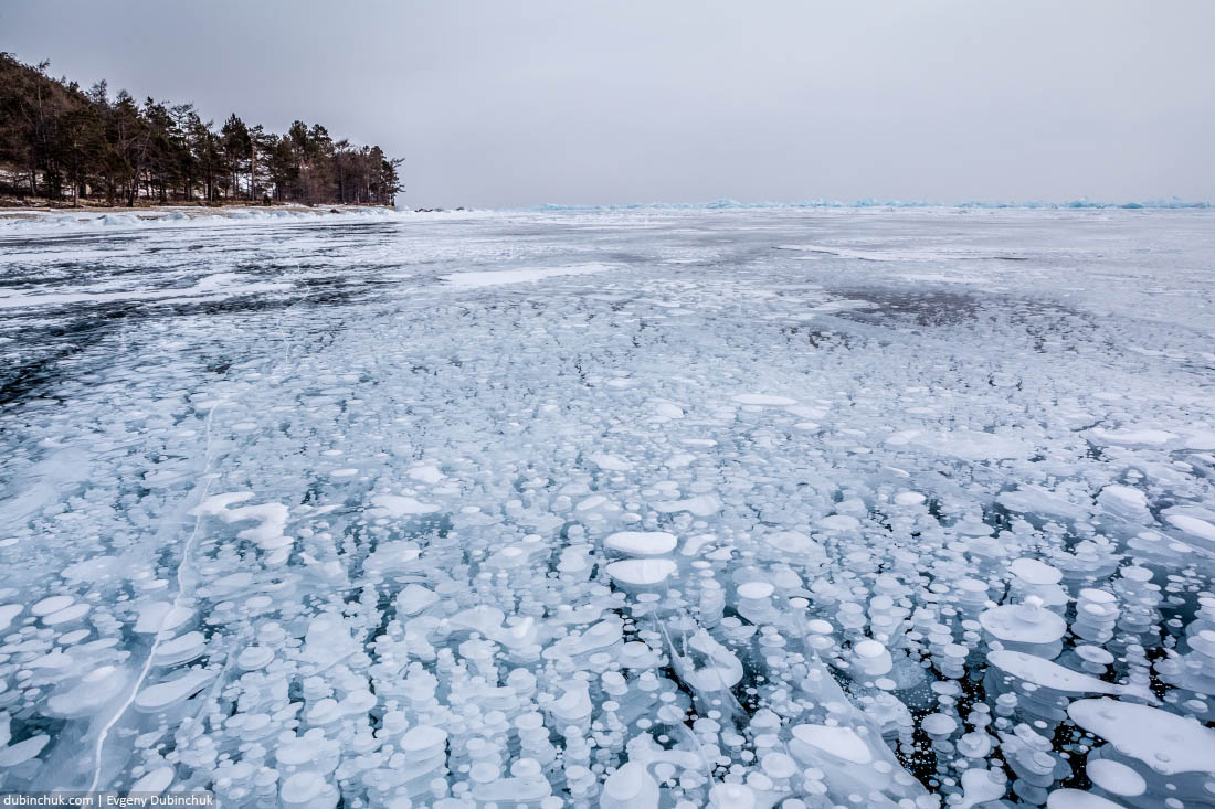 Метановые пузыри во льду на мысе Ухан на Байкале