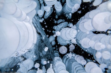 Замерзшие во льду метановые пузыри на Байкале зимой. Frozen air bubbles inside ice. Lake Baikal