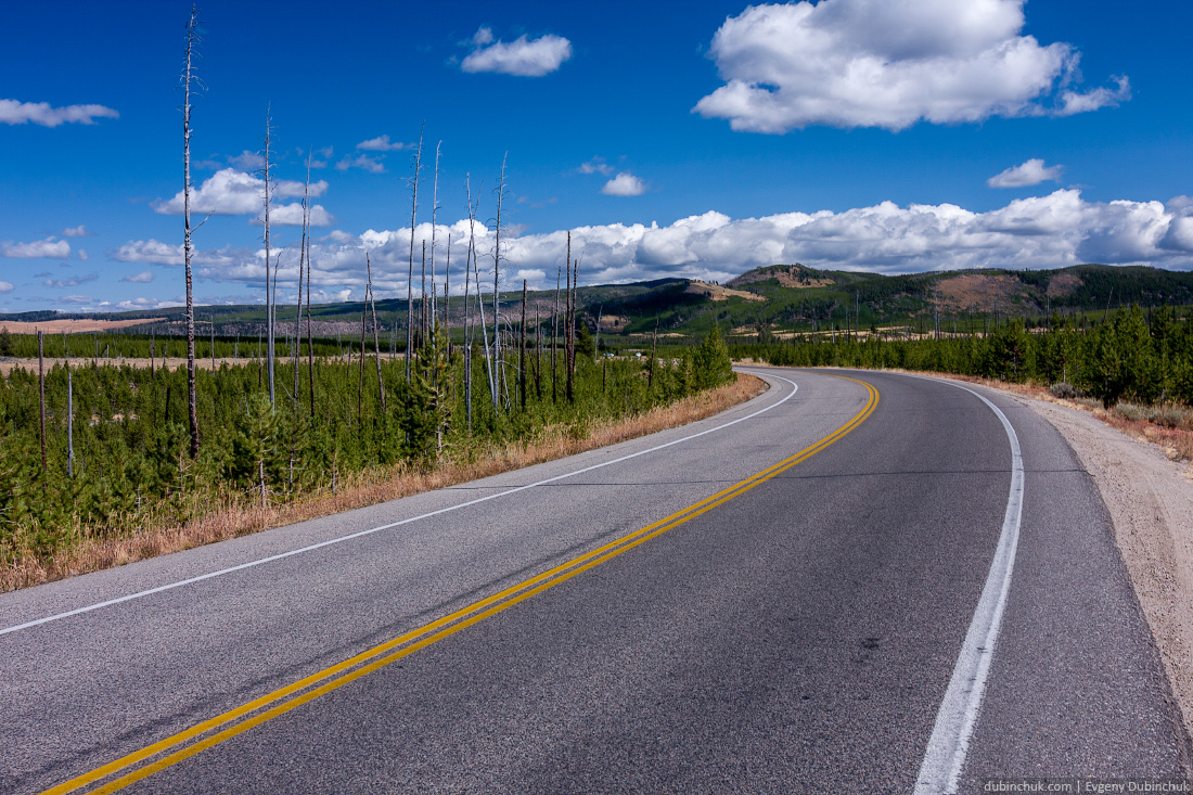 Дорога в Национальном парке Йеллоустоун, США. Одиночное путешествие на велосипеде по США. Road in Yellowstone National Park
