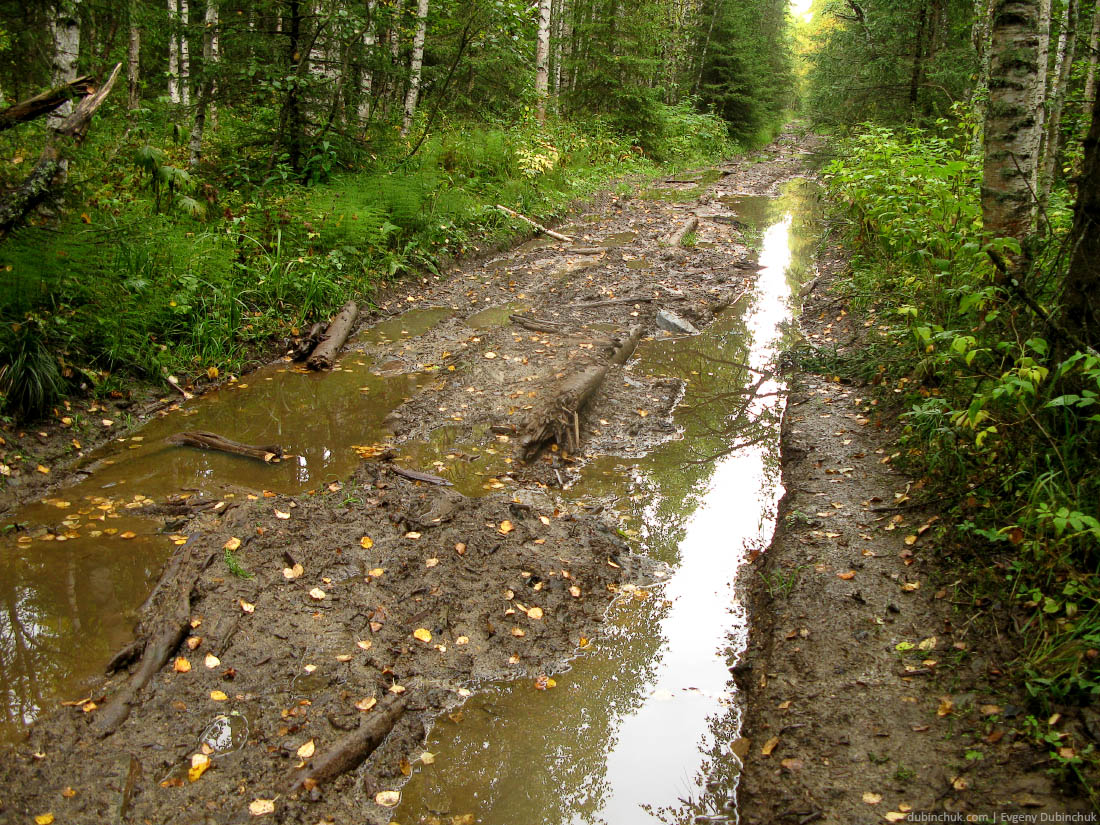 Национальный парк Зюраткуль. Путешествие по Уралу на велосипеде в одиночку. Extremely poor forest road