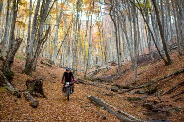 Cyclist in Crimean forest in autumn