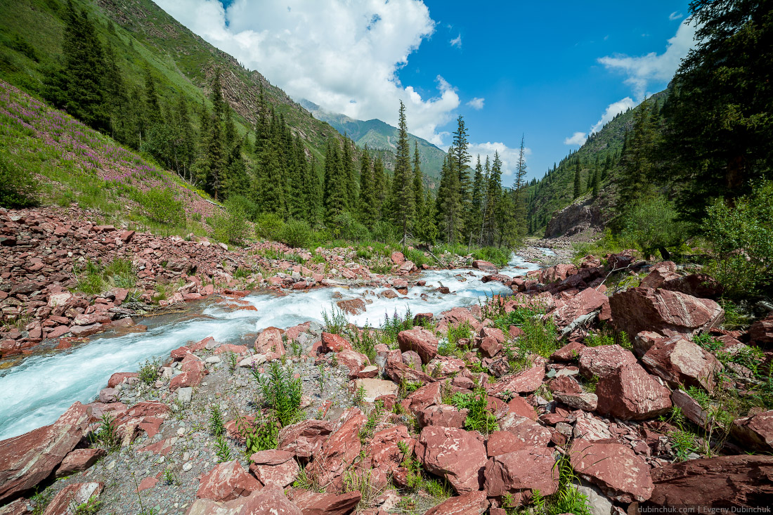 Rapid river Kegety, Tien Shan, Kyrgyzstan