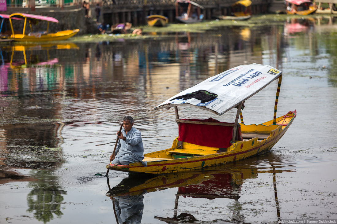 Таксист на озере Дал в Шринагаре