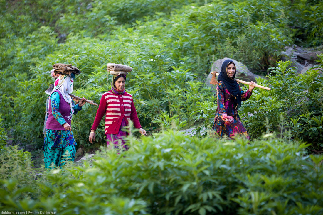 Женщины с топорами. Кашмир, Индия