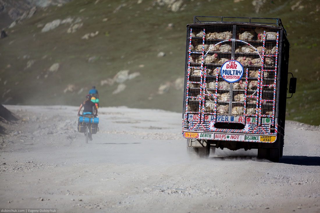 Грузовик с курицами. Индия, Кашмир