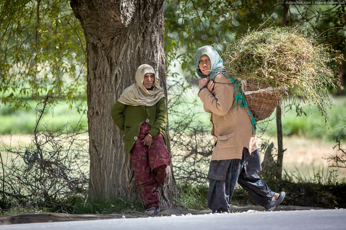 Кашмирская женщина тащит сено