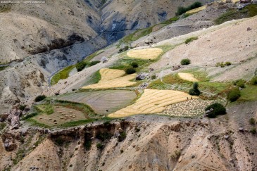 Village in Zanskar Valley