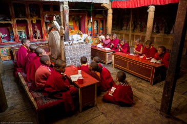 Young monks from Lamayuru Gompa praying