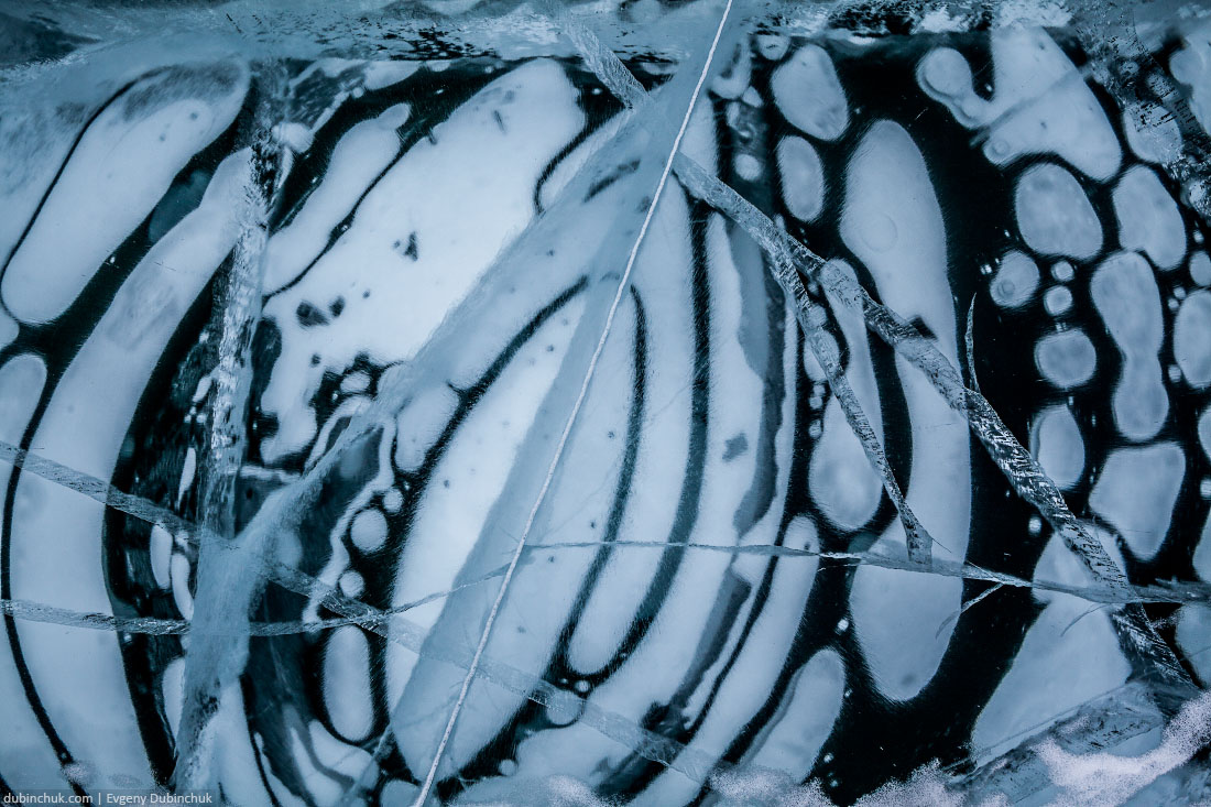 Узоры из замерзших метановых пузырей на Байкале