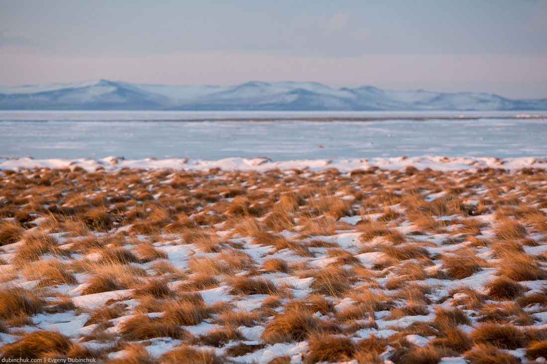 Берег Байкала зимой. Lakeshore of Baikal in winter