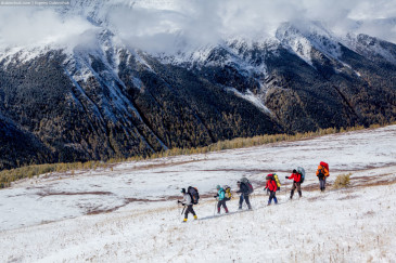 Group of hikers in Altai mountains going on snow