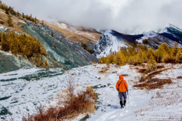 Hikers in Altai mountains in late autumn