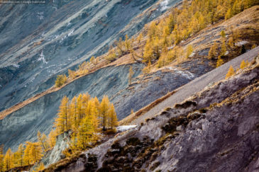 Multicolored Altai mountains in autumn