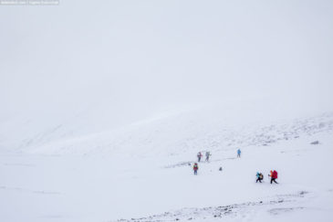 Group of hikers going on snowy mountains