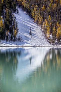 Reflections on the lake. Altai