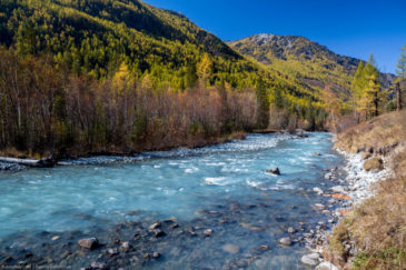 Kucherla river in Altai